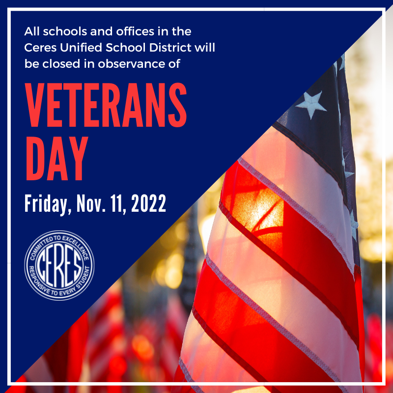 Sun shining through U.S. flag, text reads schools will be closed 11/11/22 for Veterans Day