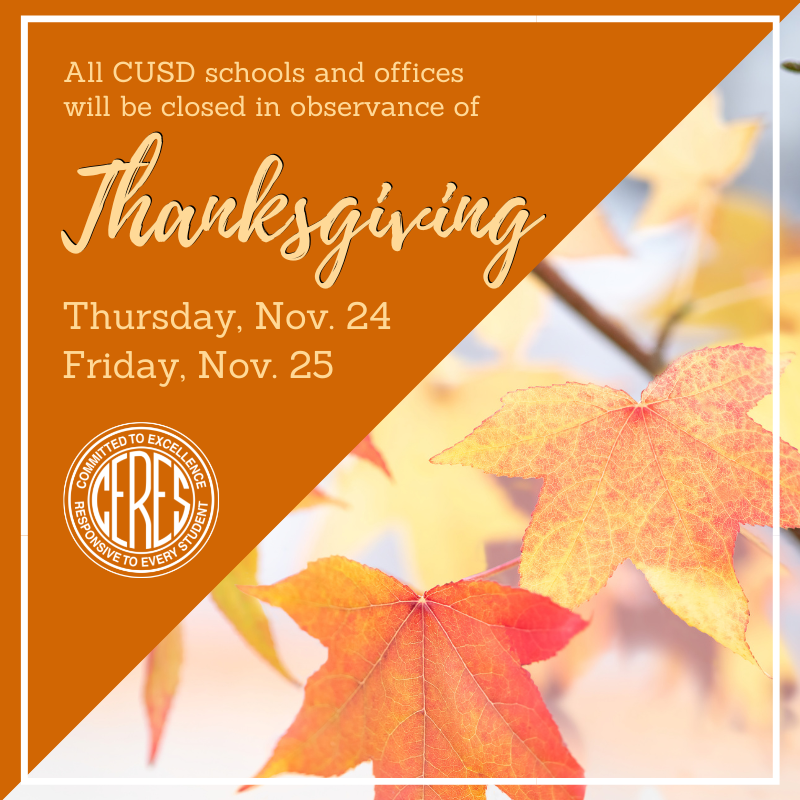Fall leaves behind text: All schools closed Nov. 24-25 for Thanksgiving