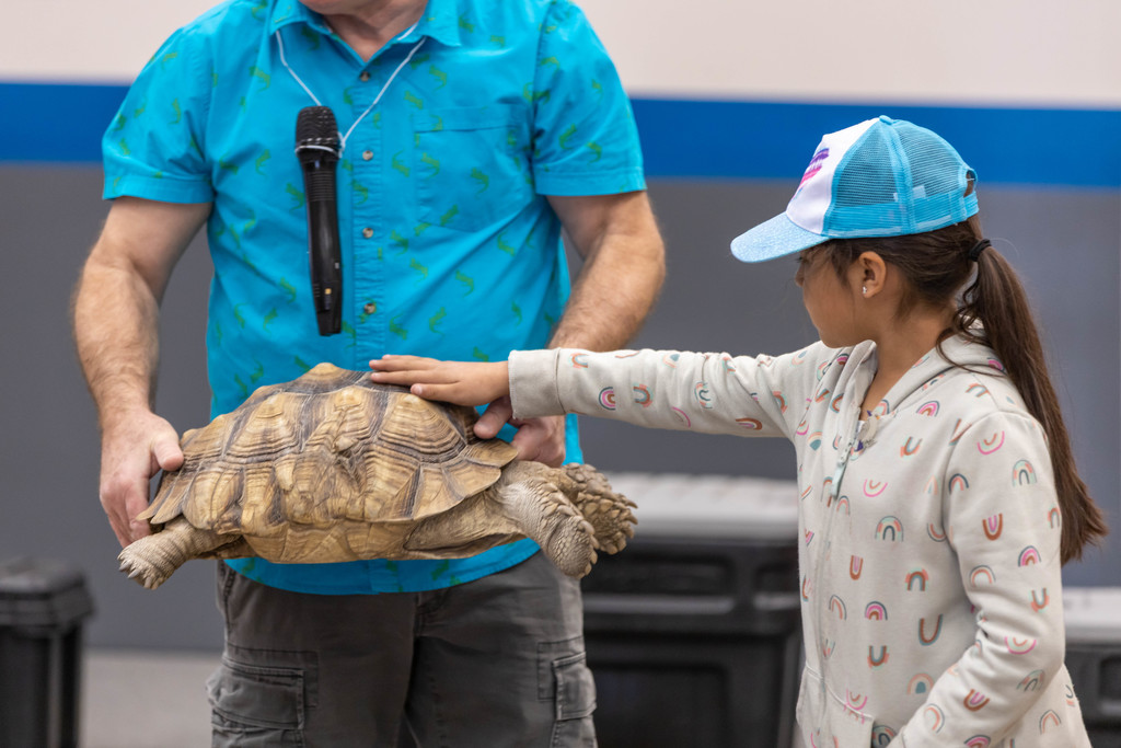 Student pets tortoise