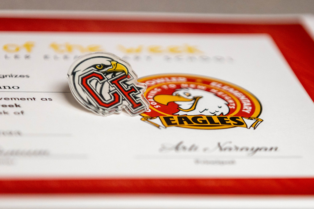 Logo pin and certificate