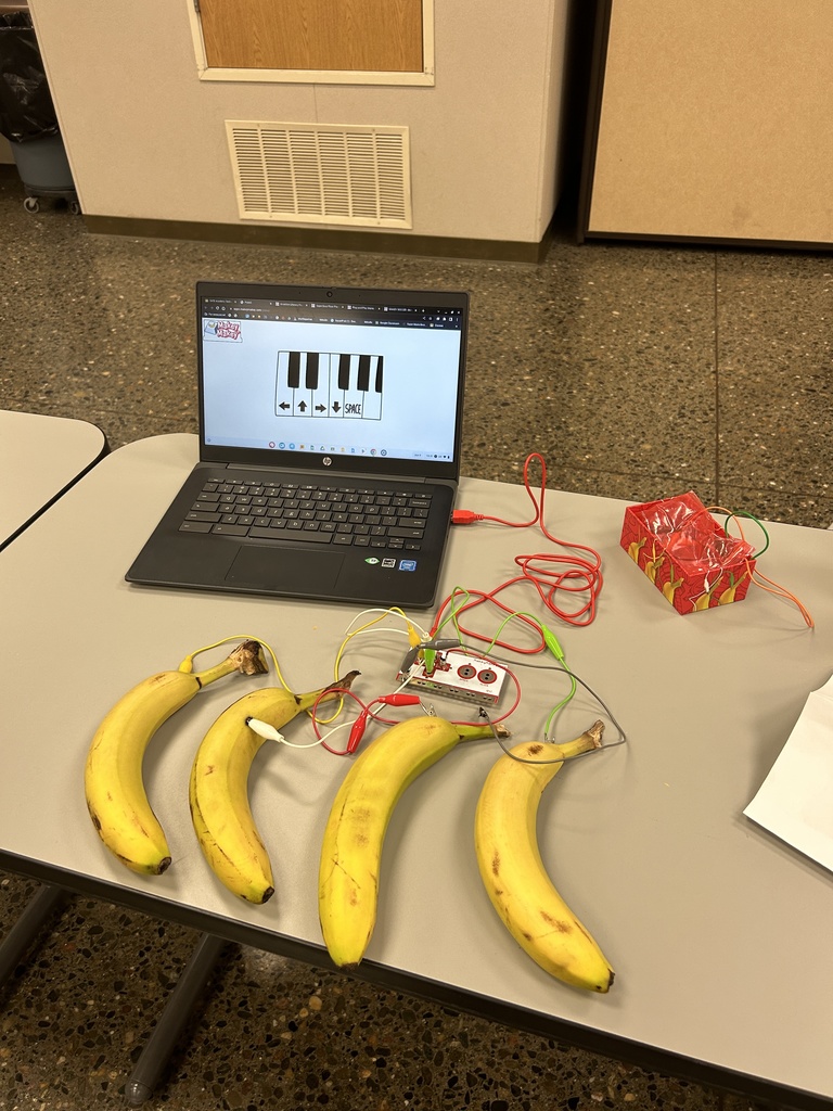Circuitry hooked up to four bananas